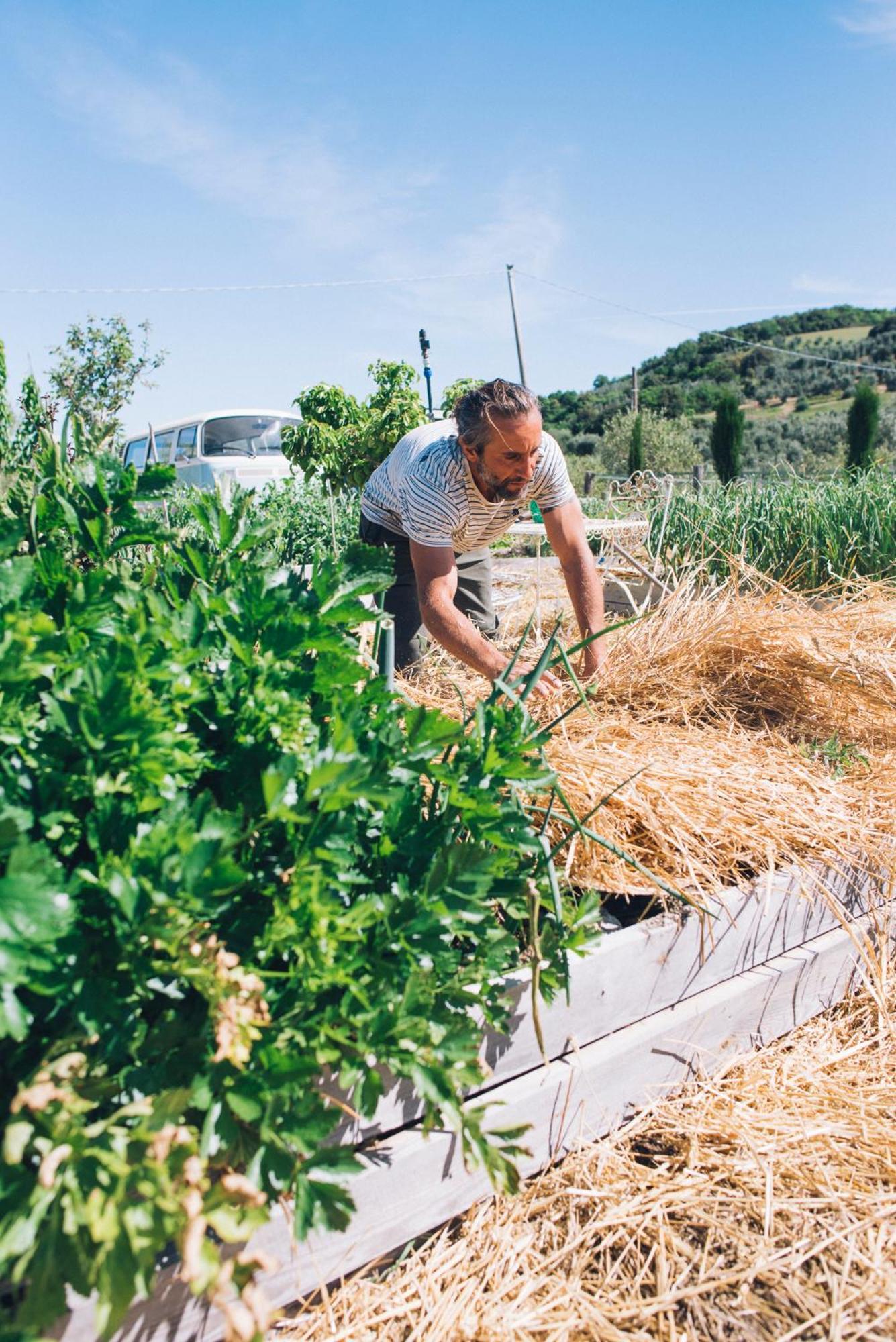 Agriturismo Podere Il Fornacino Santa Luce Eksteriør bilde